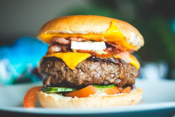 Pulled Chicken Burger